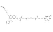 	UV Cleavable Biotin-PEG2-Azide 