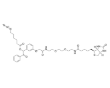 UV Cleavable Biotin-PEG2-Azide
