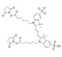 Cy3-NHS ester(Di)，146397-20-8 
