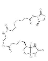 	NHS-SS-(+)-Biotin 