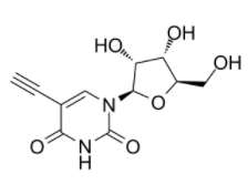 5-乙炔啶(5-EU)	 