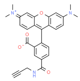 5-isomer TAMRA alkyne 