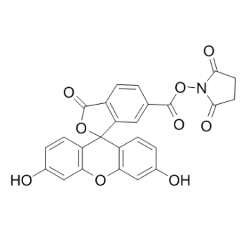 6-羧基荧光素琥珀酰亚胺酯 