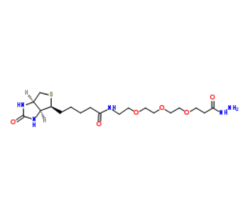 Biotin-PEG3-propionic hydrazide 