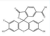 CAS号：195136-53-9，6-OG488 酸，6-OG488 acid，Oregon Green 488 羧酸 6-异构体