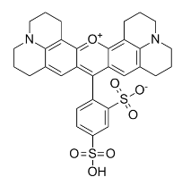 CAS: 60311-02-6，磺酰罗丹明101，Sulforhodamine 101