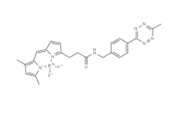 BDP FL methyltetrazine 
