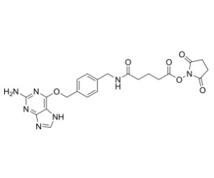 2-Aminopurine-O-Ph-NHCO-C3-NHS ester 