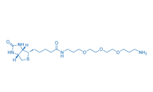	Biotin-PEG3-C3-NH2 