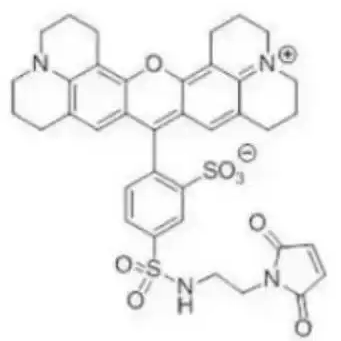 德州红-马来酰亚胺 