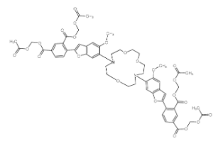 SBFI-AM 