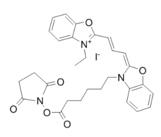 	CY2-SE 