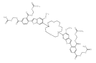 SBFI-AM 