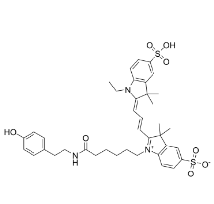 Cyanine 3 Tyramide 