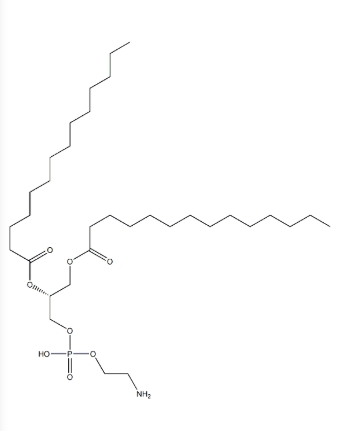 DMPE（1，2-二肉豆蔻酰-sn-甘油-3-磷酰乙醇胺）