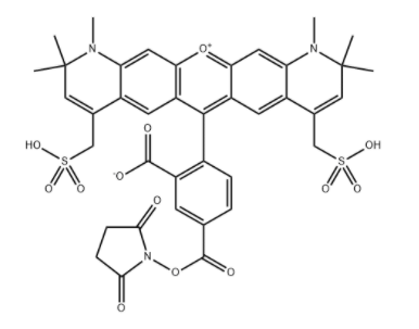 AF594 活性酯 