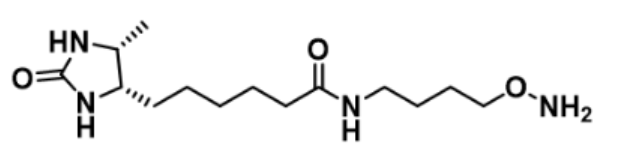 Desthiobiotin-C4-oxyamine