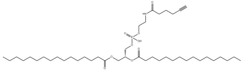 DPPE-Alkyne 