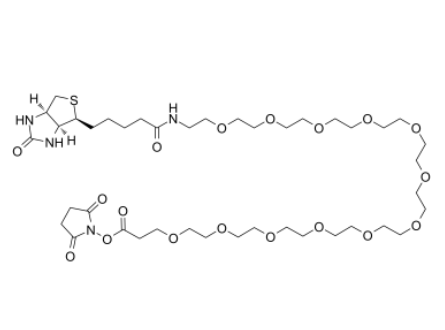 	Biotin-PEG12-NHS ester 