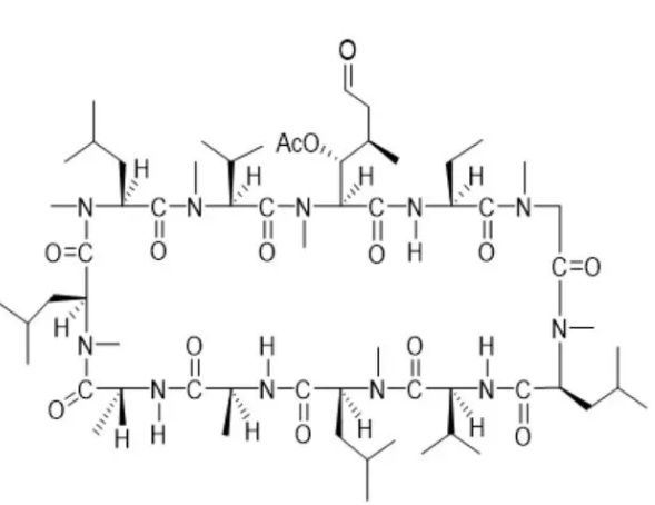 CAS：121584-52-9，6-[(3R,4R)-3-(Acetyloxy)-N,4-dimethyl-6-oxo-L-norleucine] Cyclosporin A