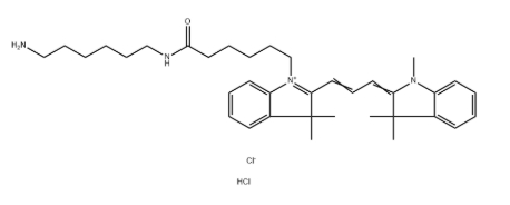 Cy3 amine 氨基