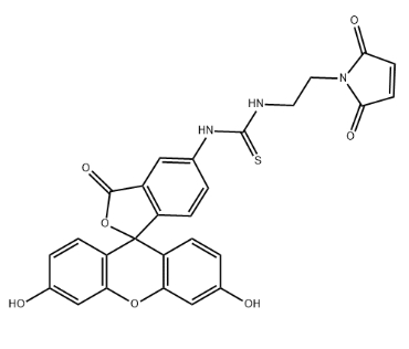 5-FITC-Maleimide