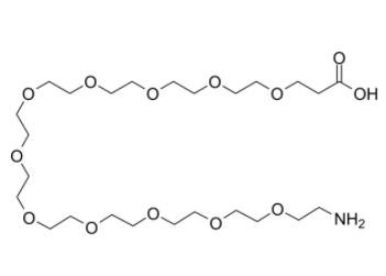 Amino-PEG11-acid 