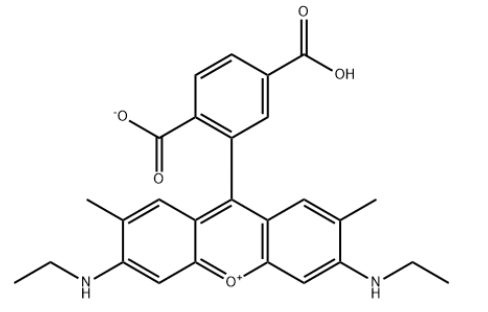 6-Rhodamine 6G COOH 