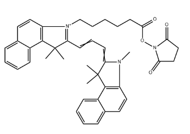 CY3.5活化脂
