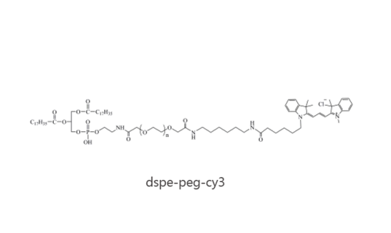 DSPE-PEG-Cy3