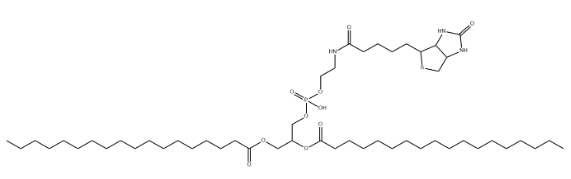 磷脂修饰生物素