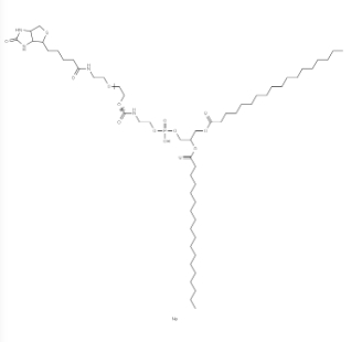 DSPE-PEG-Biotin
