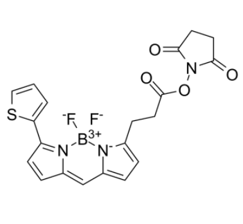 	BDP 558/568 NHS ester 