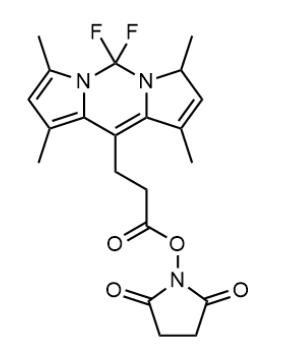 BODIPY 493/503 NHS ester 