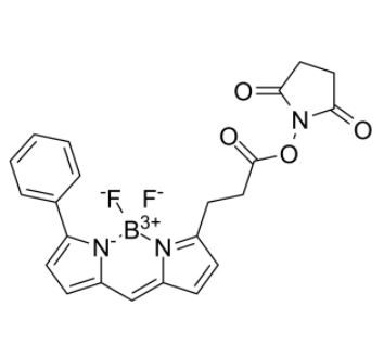 BIODIPY R6G ester 