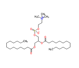 二肉豆蔻酰磷脂酰胆碱，DMPC
