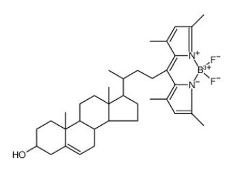 BODIPY-Cholesterol	 