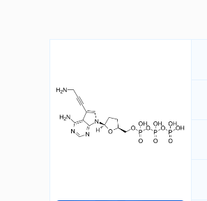 Aminopropargyl ddATP