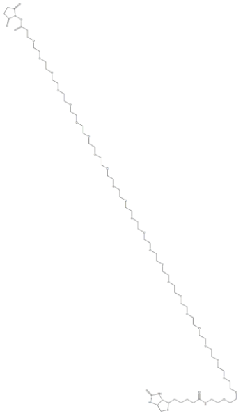 (+)-Biotin-PEG24-NHS Ester   