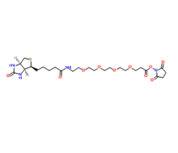 	Biotin-PEG4-NHS ester 