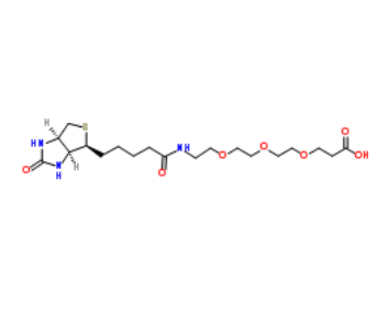 Biotin-PEG3-acid 