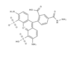 	BP Fluor 488 Hydrazide	 