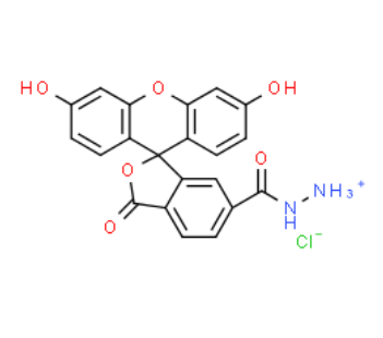 FAM hydrazide 6-isomer 