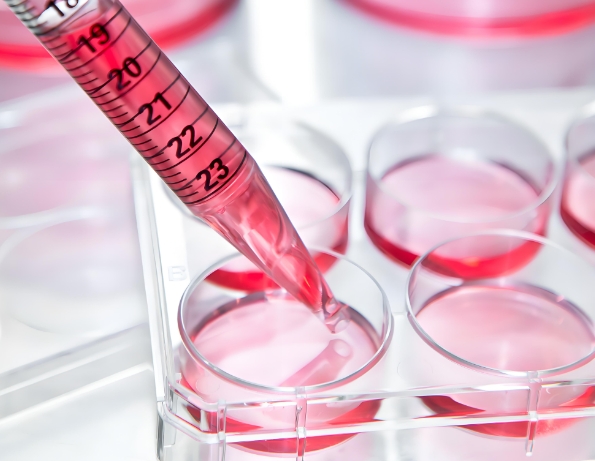 S-lysoPC Liposomes，硬脂酰溶血卵磷脂脂质体 用于细胞内药物递送