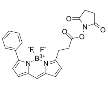 	BIODIPY R6G ester 
