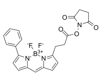 BIODIPY R6G ester 