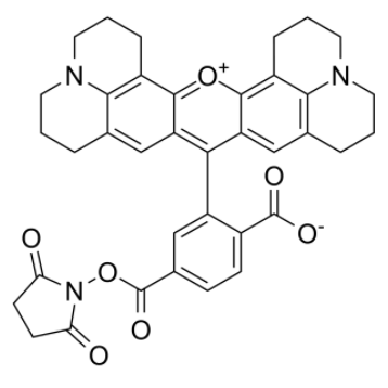 6-羧基-X-罗丹明琥珀酰亚胺酯	 