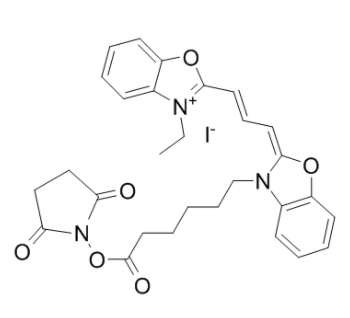 CY2-SE 