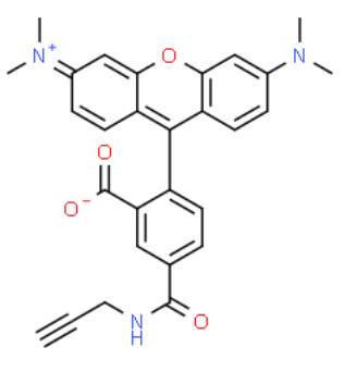 	5-isomer TAMRA alkyne  