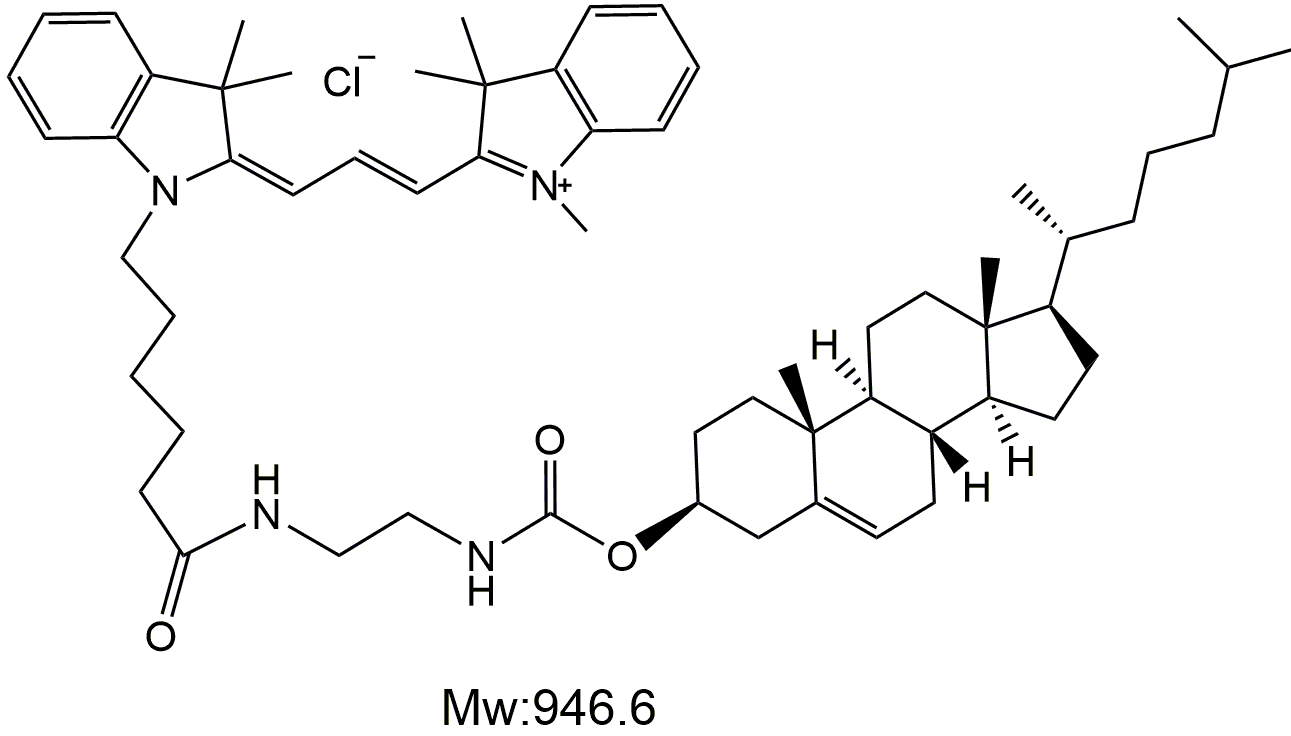 Cy3-Cholesterol